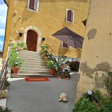 Apartment Viola *