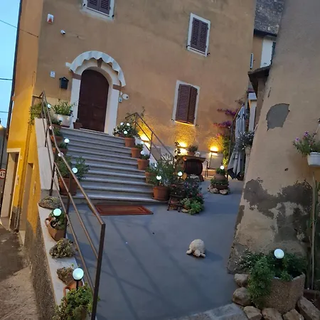 Viola Apartment
